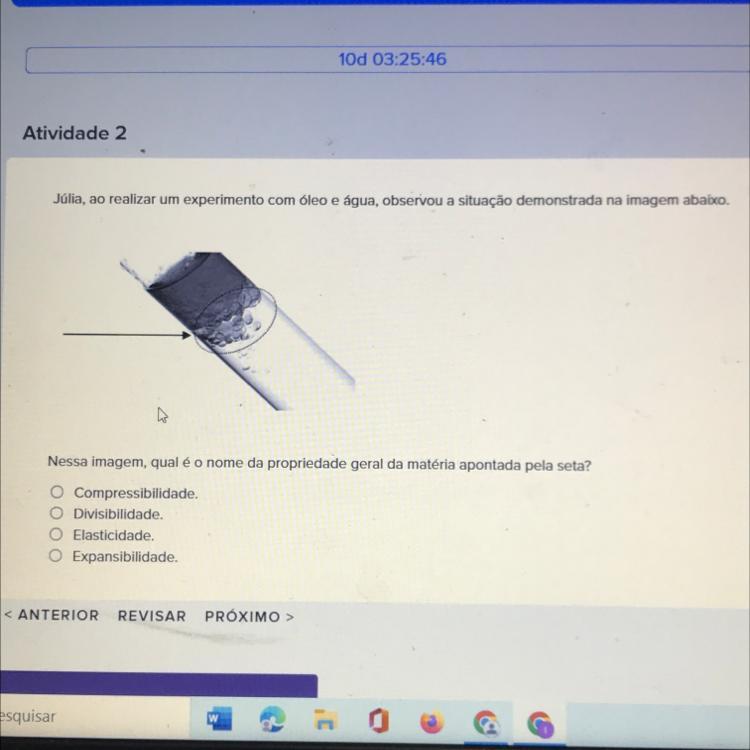 Júlia, ao realizar um experimento com óleo e água, observ