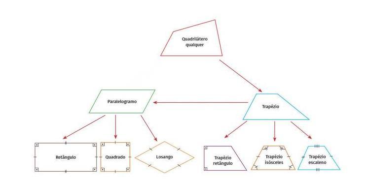 Analise O Esquema A Seguir E Responda S Perguntas A Quais